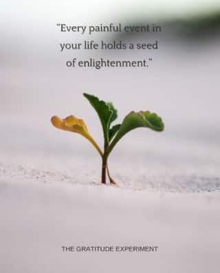 Every painful event in your life holds a seed of enlightenment